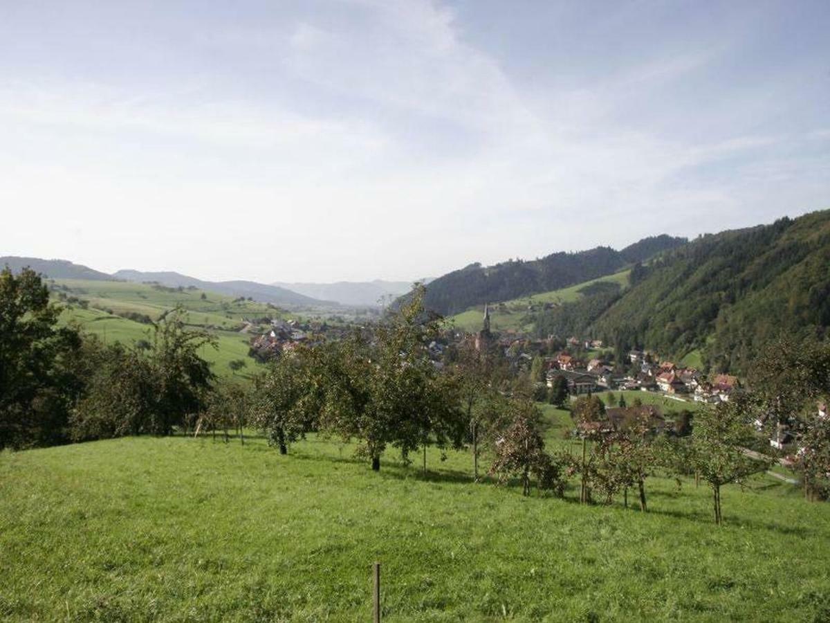Pension Waldfrieden Oberharmersbach Exterior foto